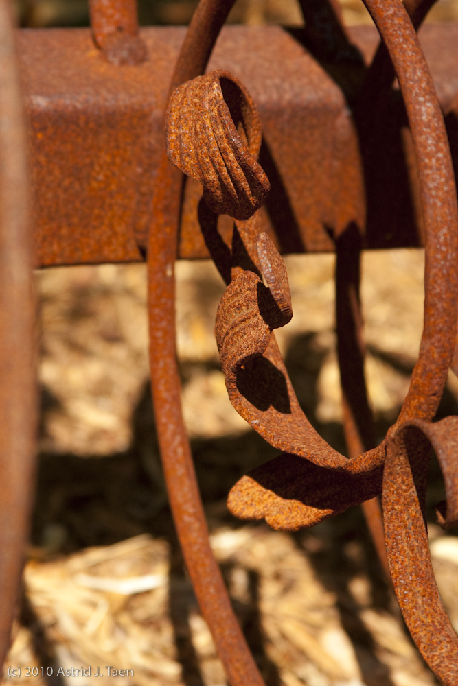 Bicycle Rack Detail
