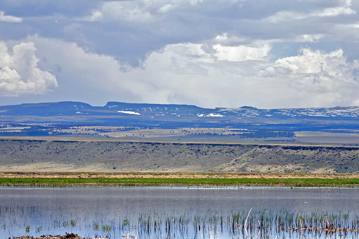 Steens Mts over Benson Pond