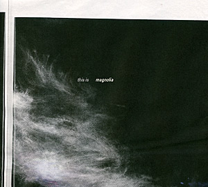 magnolia_coverx.jpg