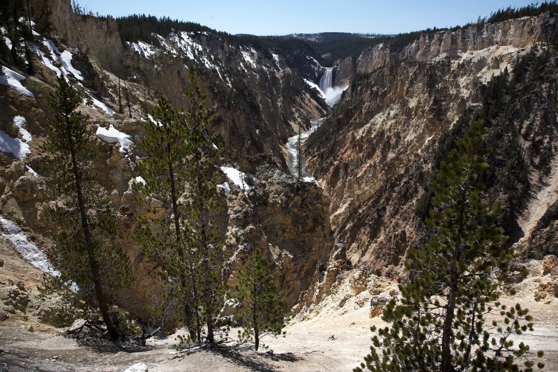 The Lower Falls in Yellowstone Canyon