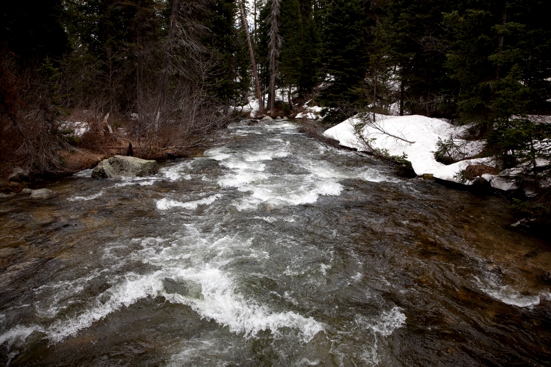 Mountain Stream during snowmelt season