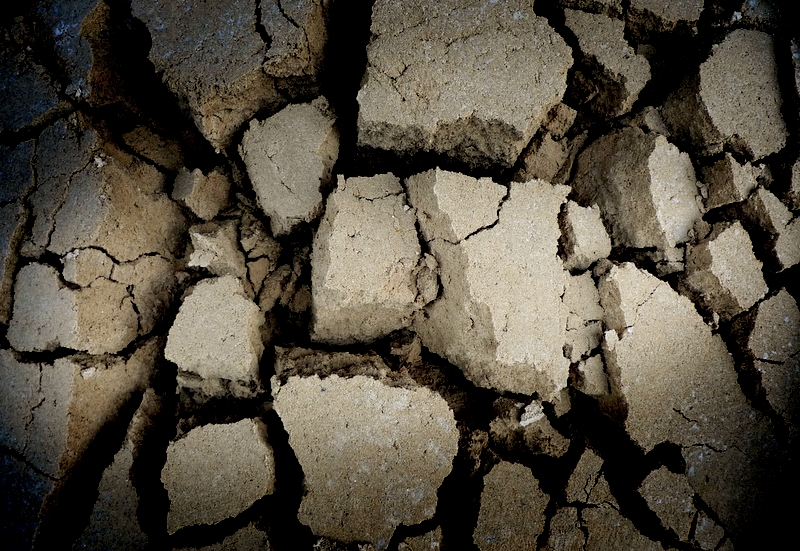 Dry Year