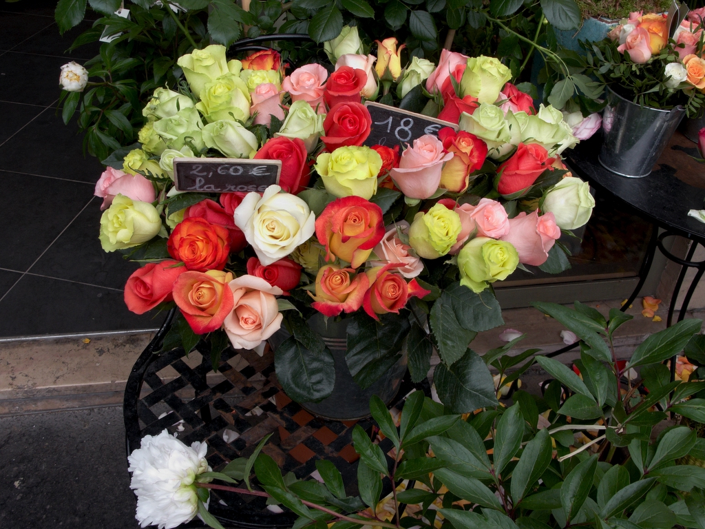 Flowers V