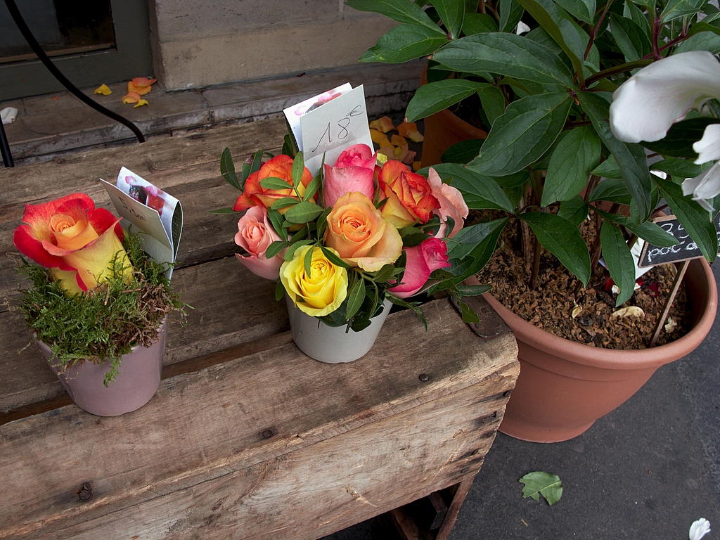 Flowers VI