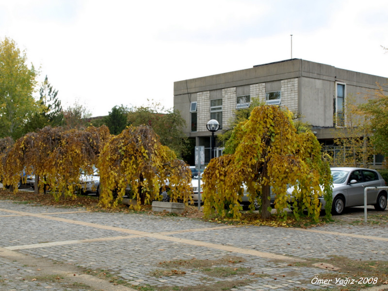 Faculty of Architecture
