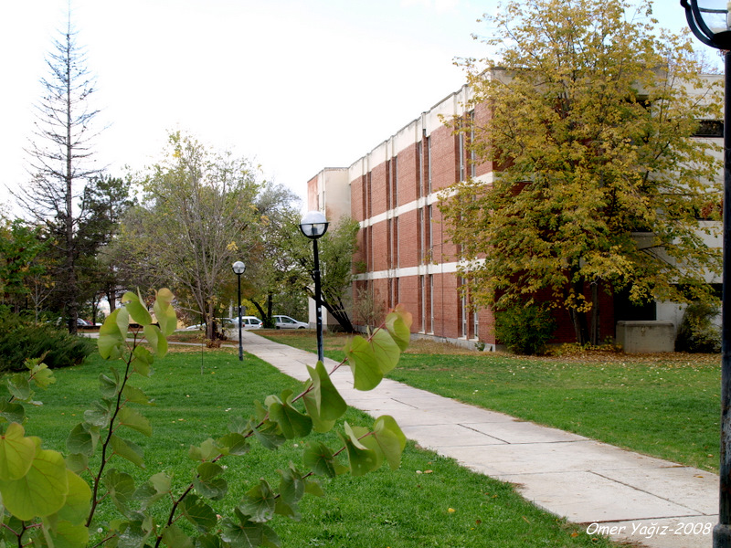 PB083322-1.JPG