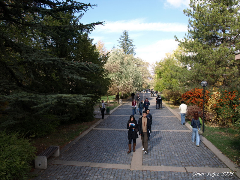 PB083353-1.JPG