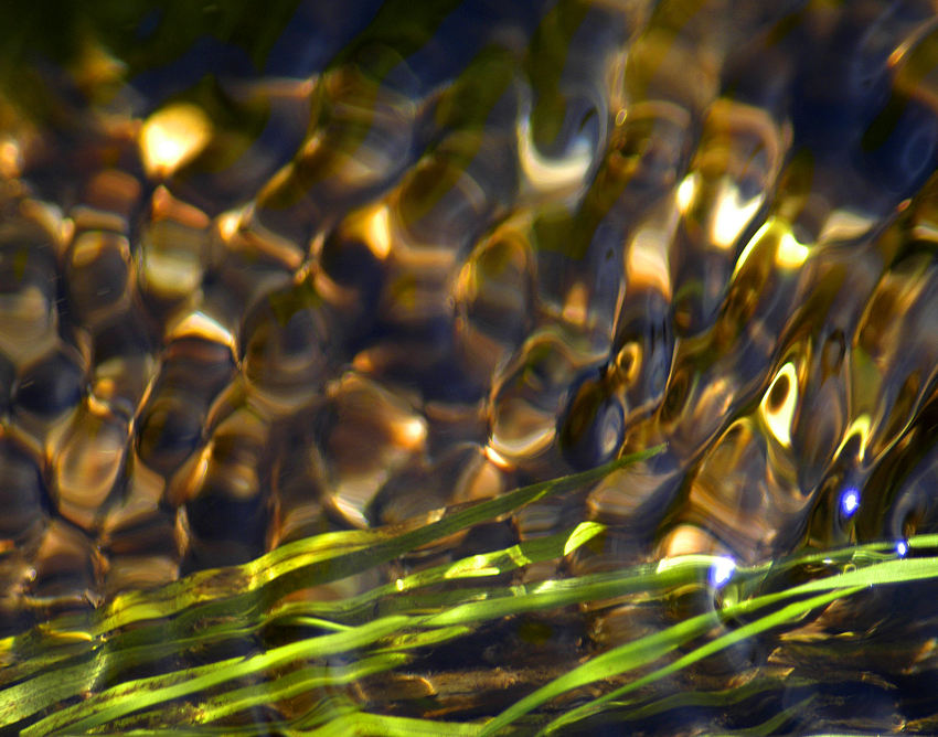 fall streaming 056