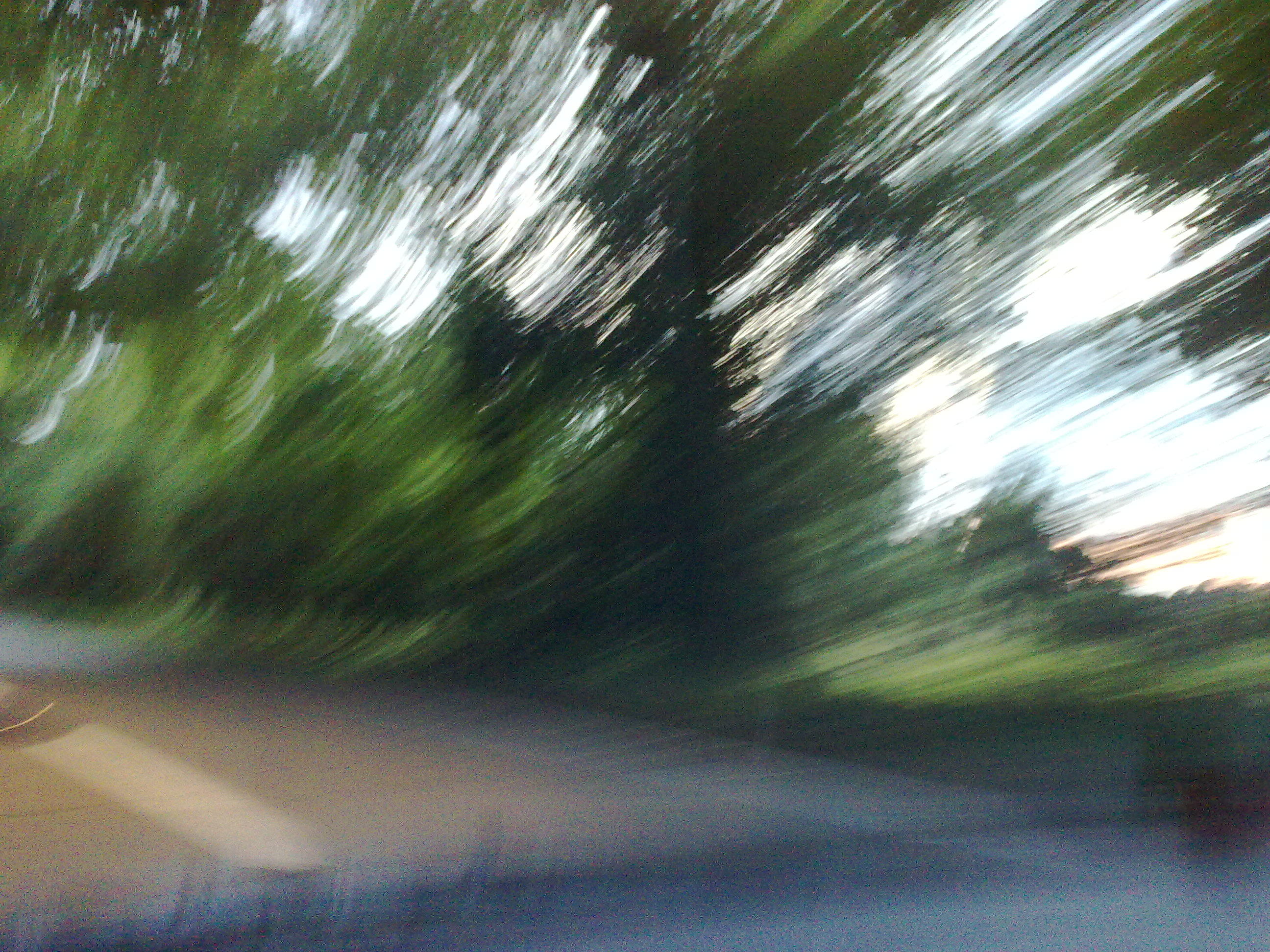 07062009843.jpg