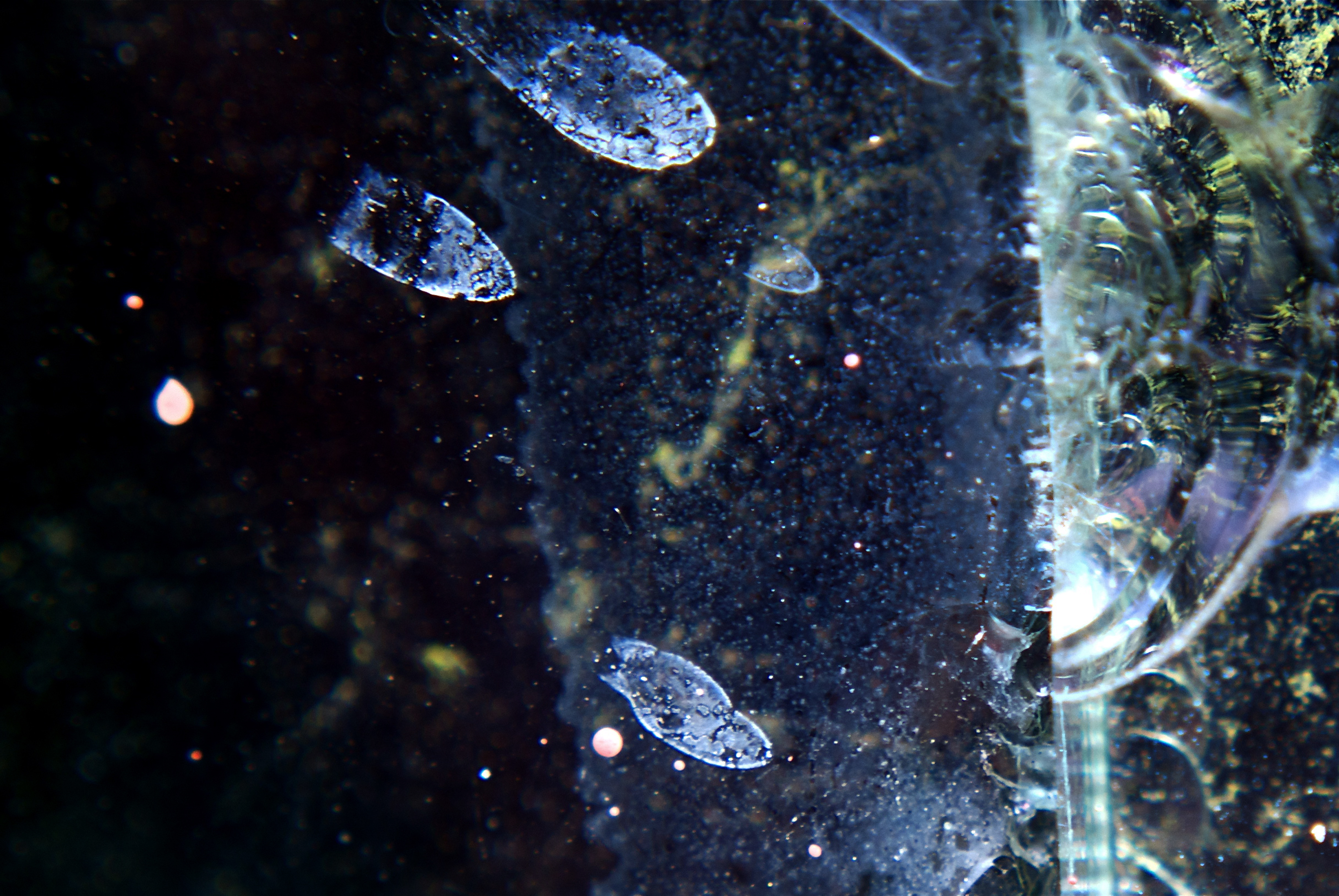weathered pane 2