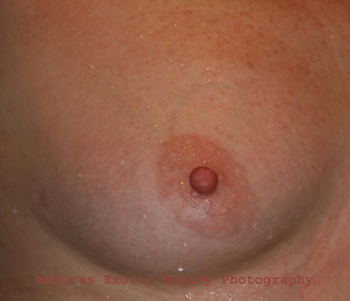 Breast 012.jpg