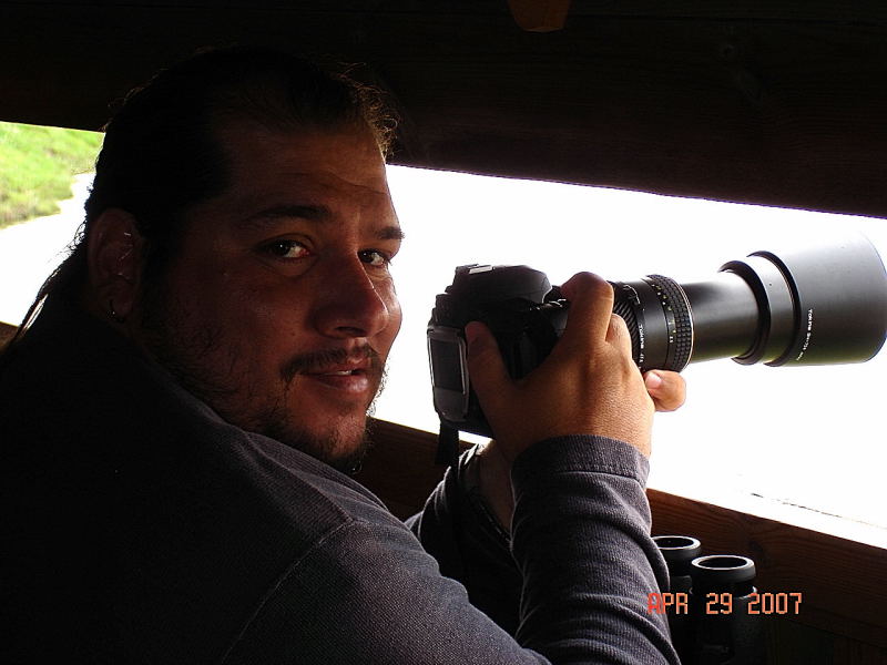 Don Gato at Llobregat hide, Catalonia, Spain 2007