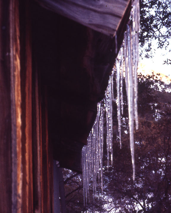 Dos Cabesas Ice Cicles