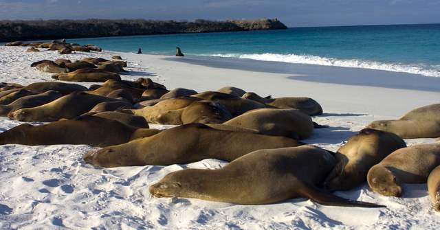 Beach playmates just hanging out 007.JPG