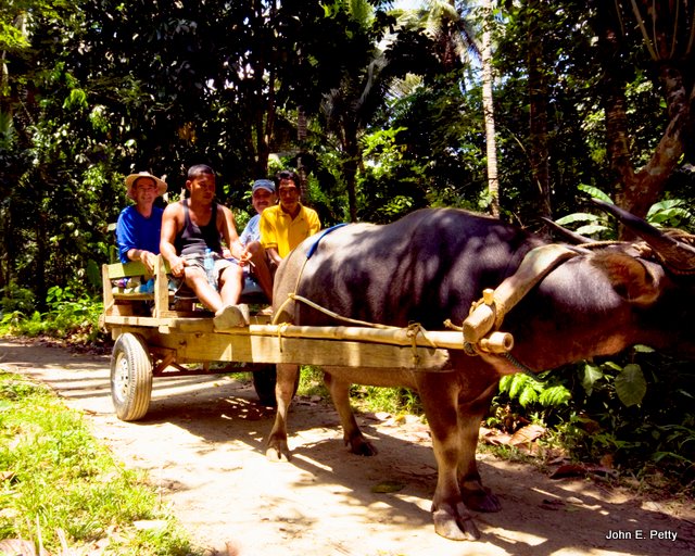 Ox Cart rideIMG_3858.jpg