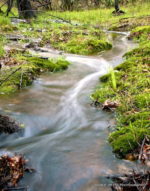 Green stream IMG_9829.jpg