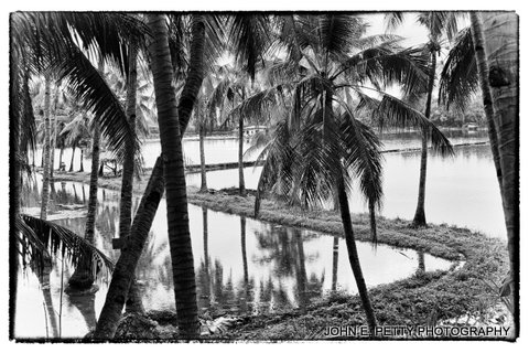 Coco grove BW IMG_7639_HDR.jpg