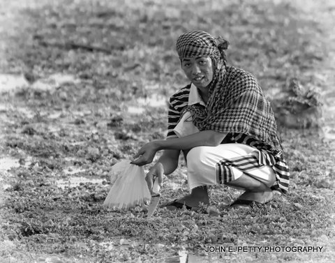 Digging Dinner 8.jpg