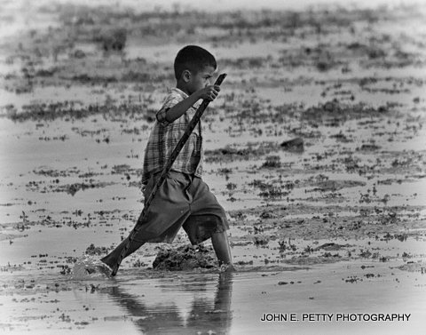 Wading _MG_7585.jpg