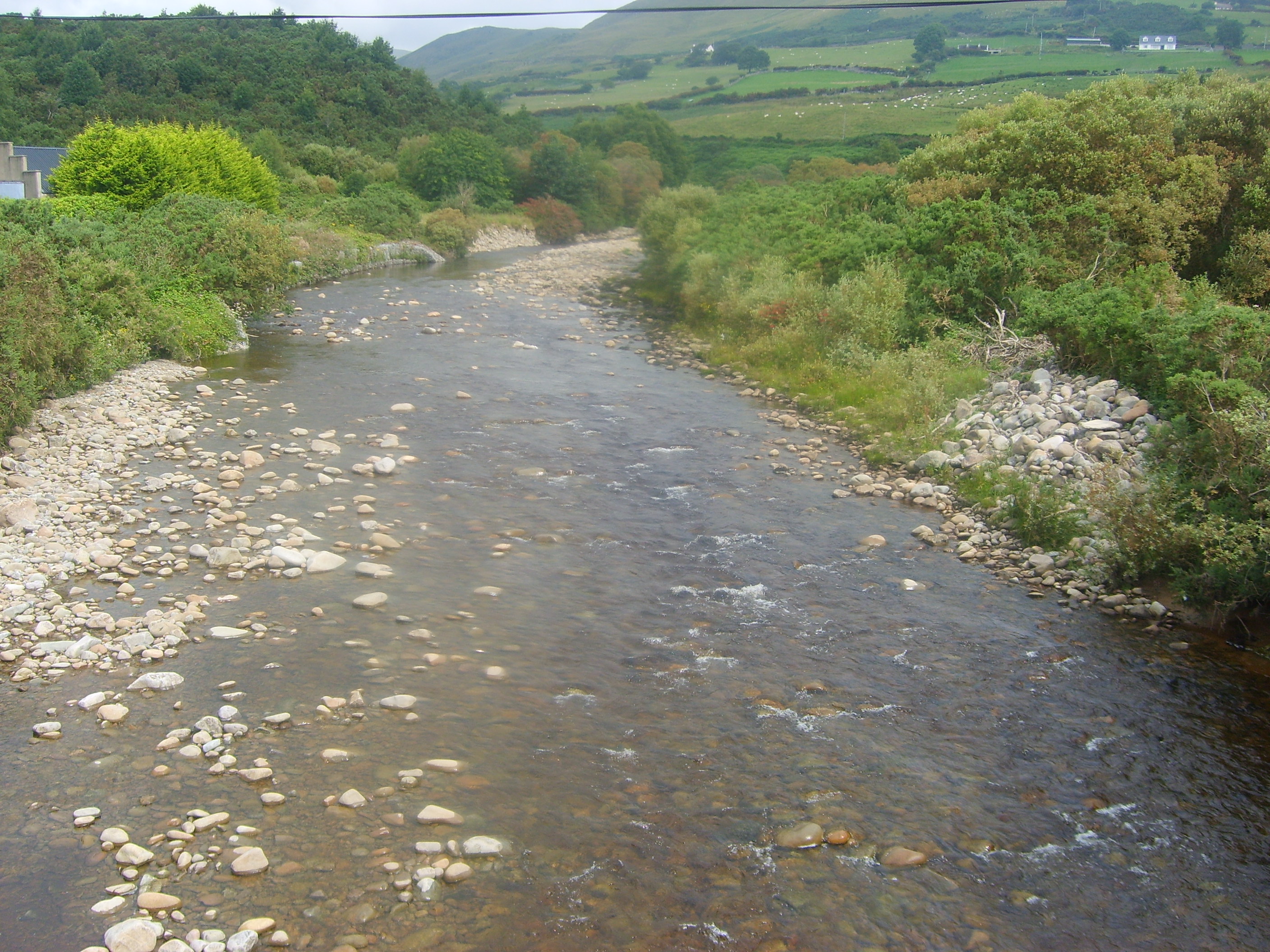 S6002858.JPG