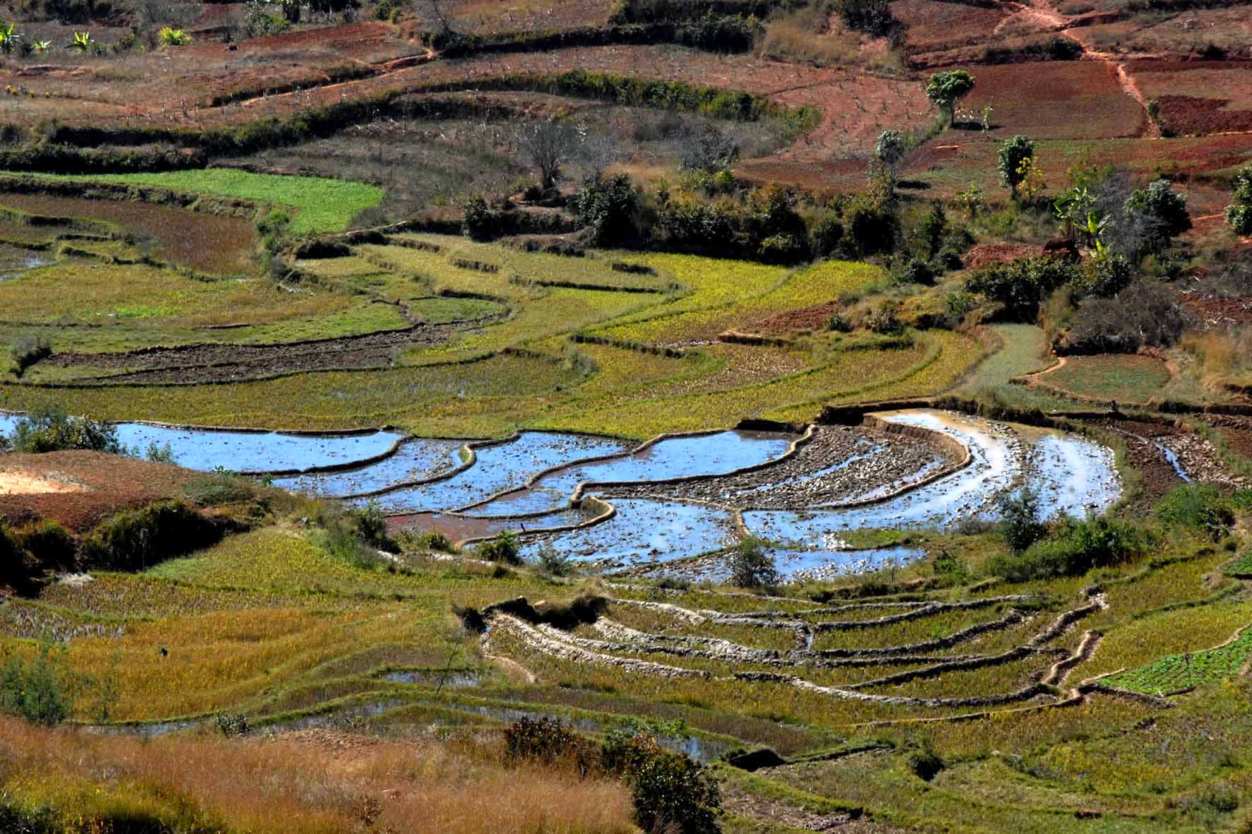 Madagascar