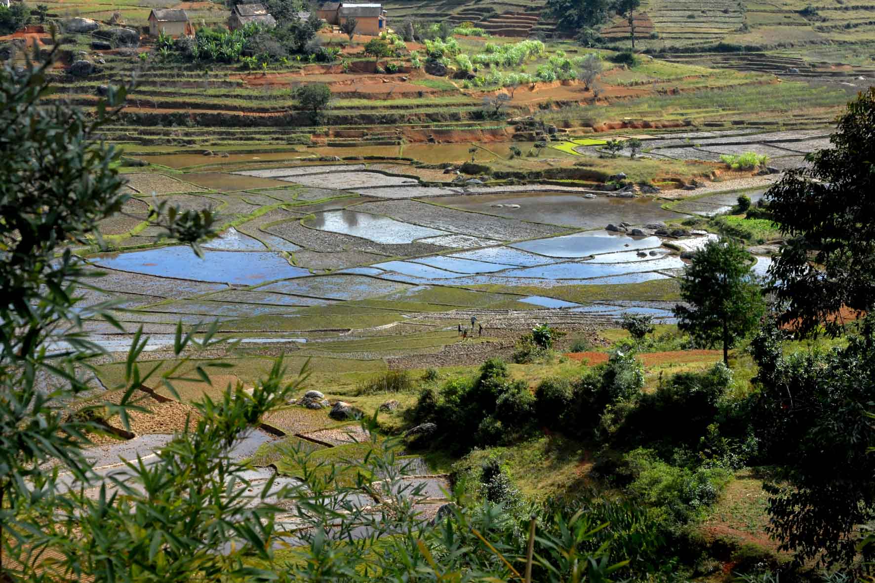 Madagascar