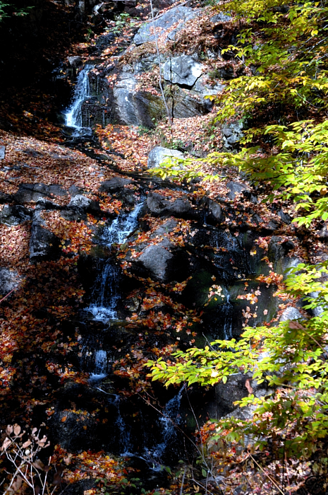 Cascading Creek