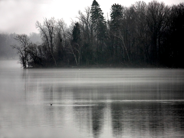 Orchard Lake Morning