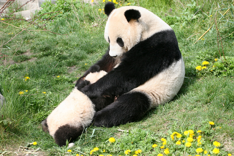 Precious moment