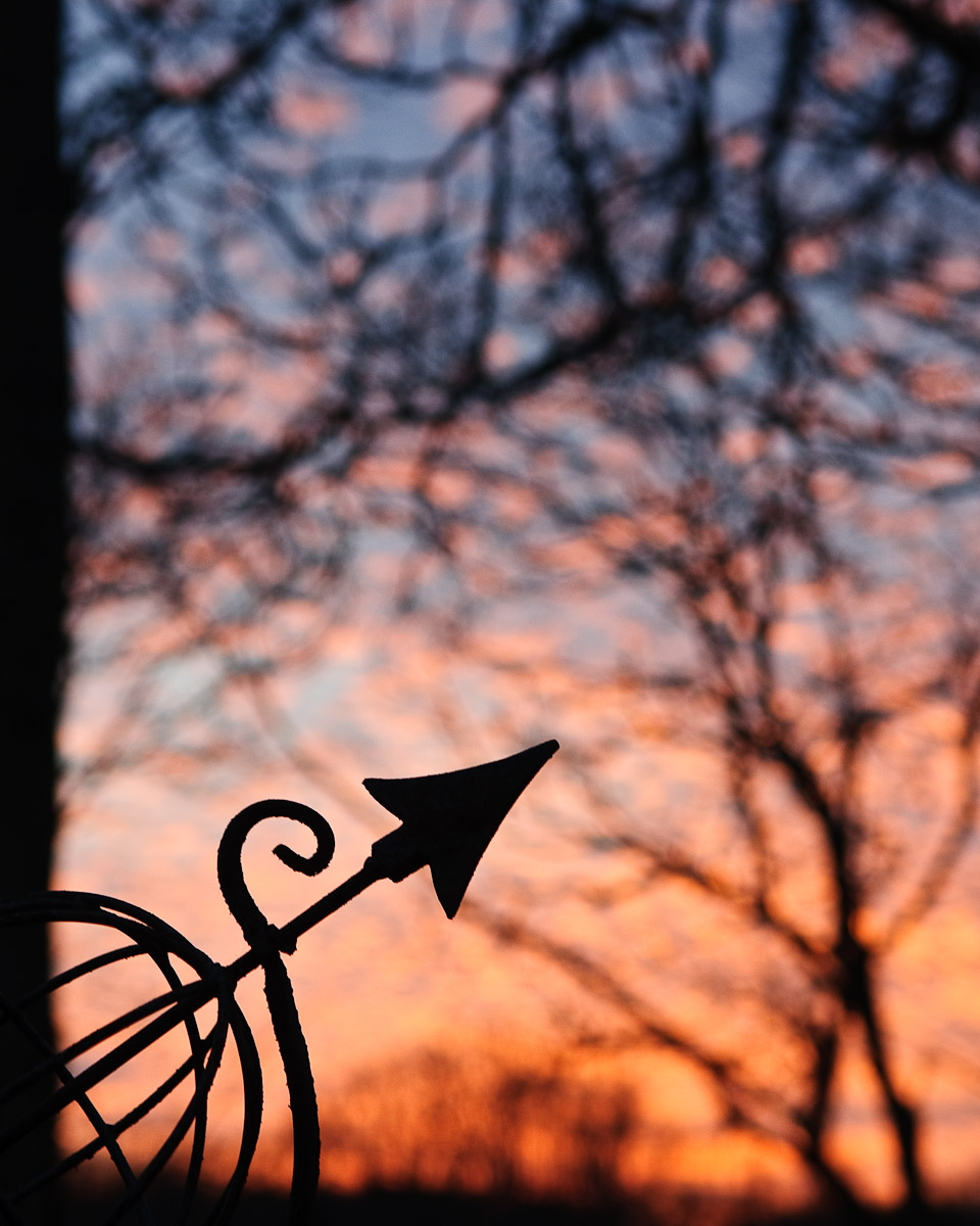 ds20100201-0014w.jpg