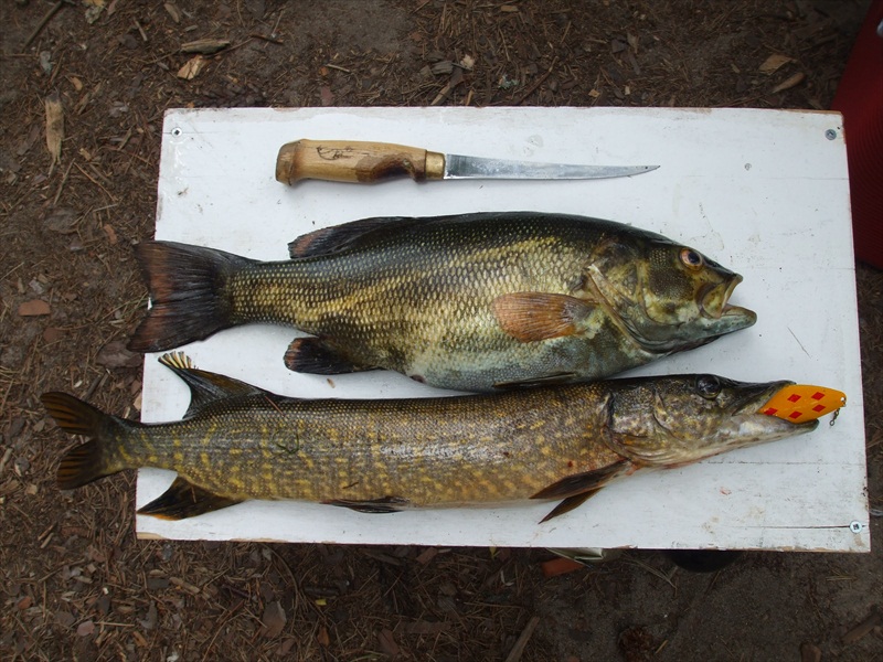 DSCF6171.JPG