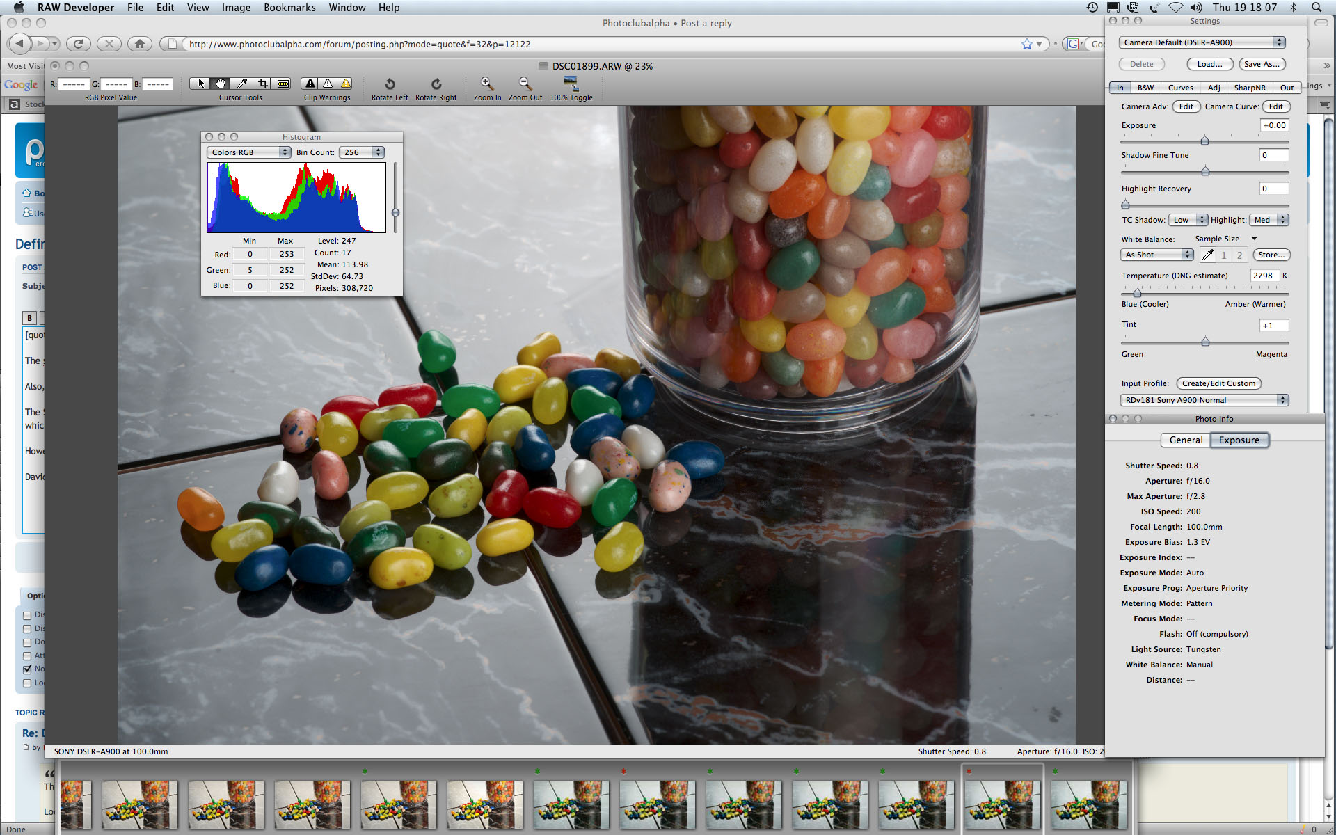 RAWdevscreen-A900.jpg