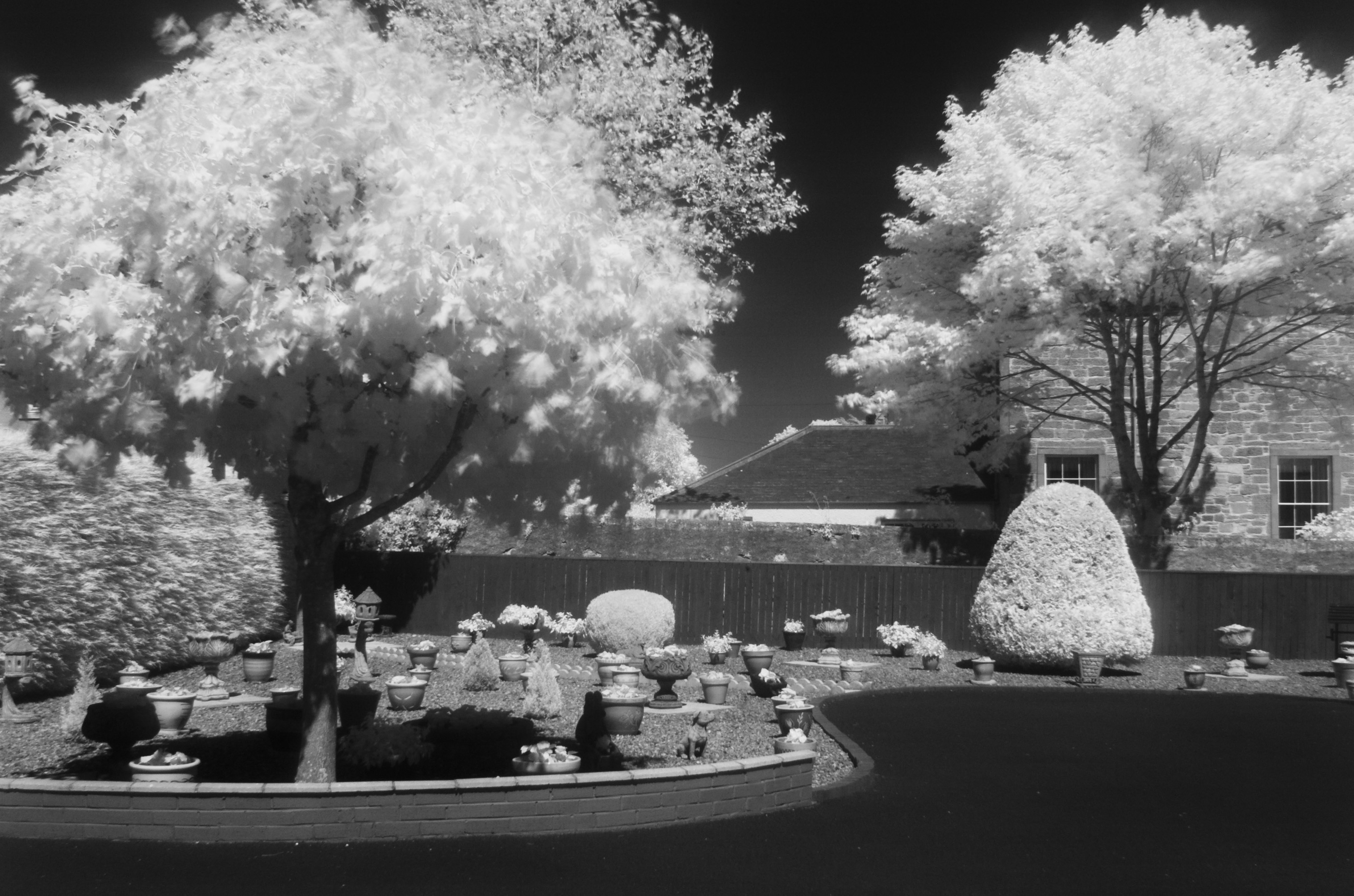 1secf16-ivysgarden.jpg