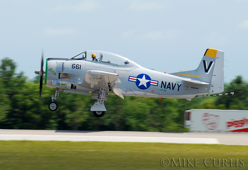 DSC_0343 800.jpg
