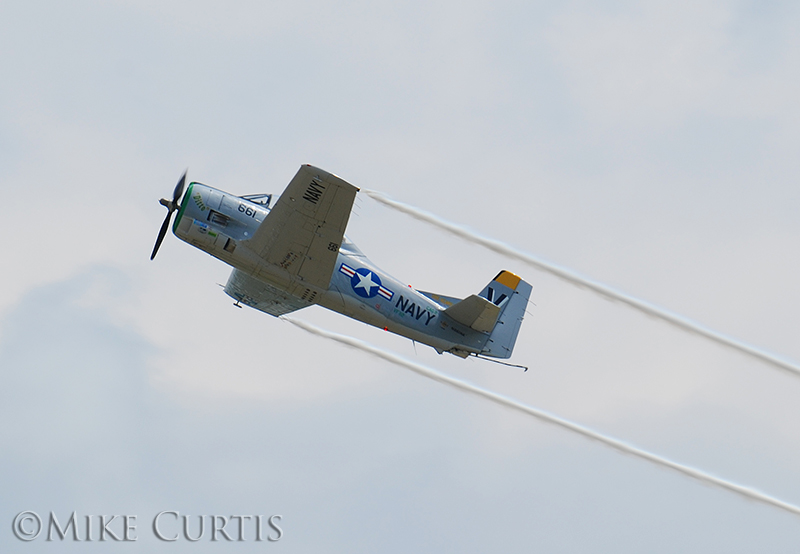 DSC_0359 800.jpg