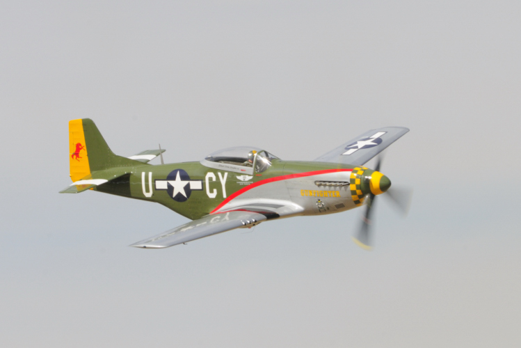 P51 Gunfighter 1.JPG