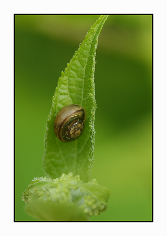 19 mei 2009