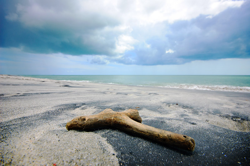 stranded driftwood