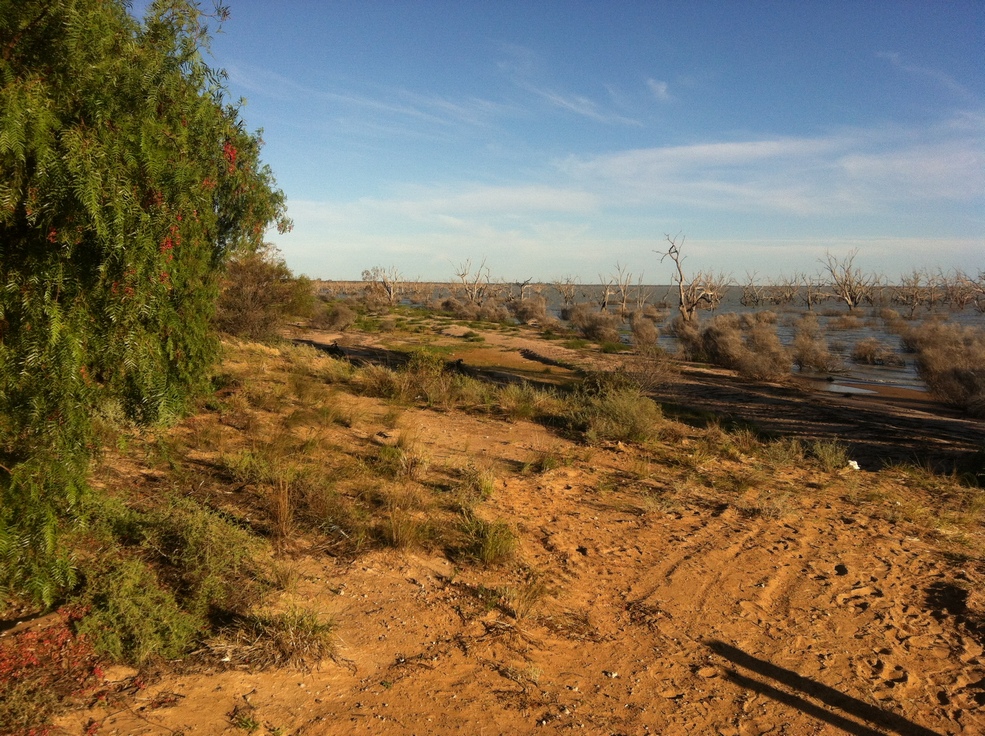 Menindee lakes - right in the middle of the desert!