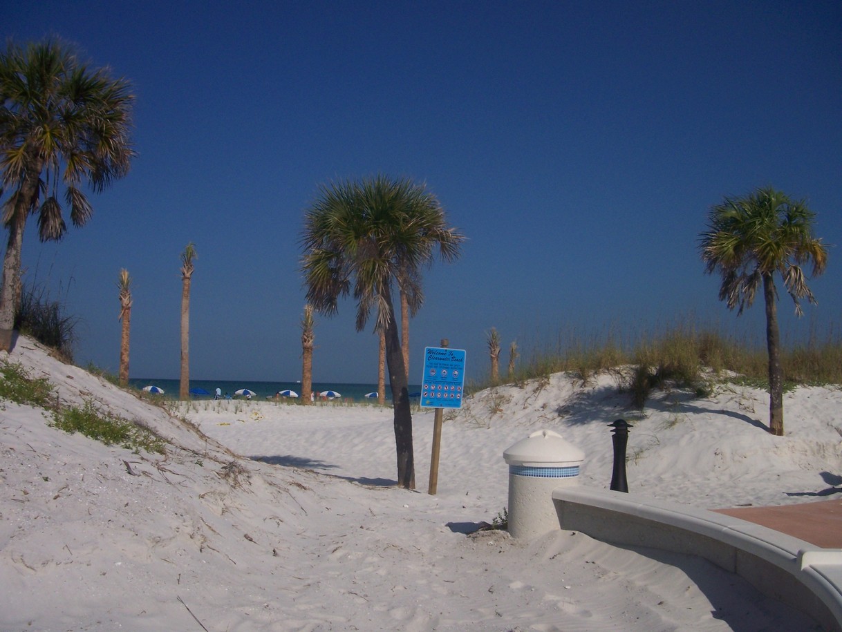 Clearwater, FL
