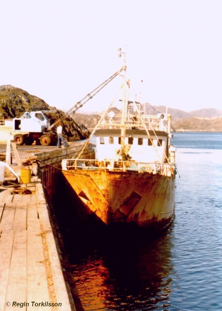Vesturvari TN 487