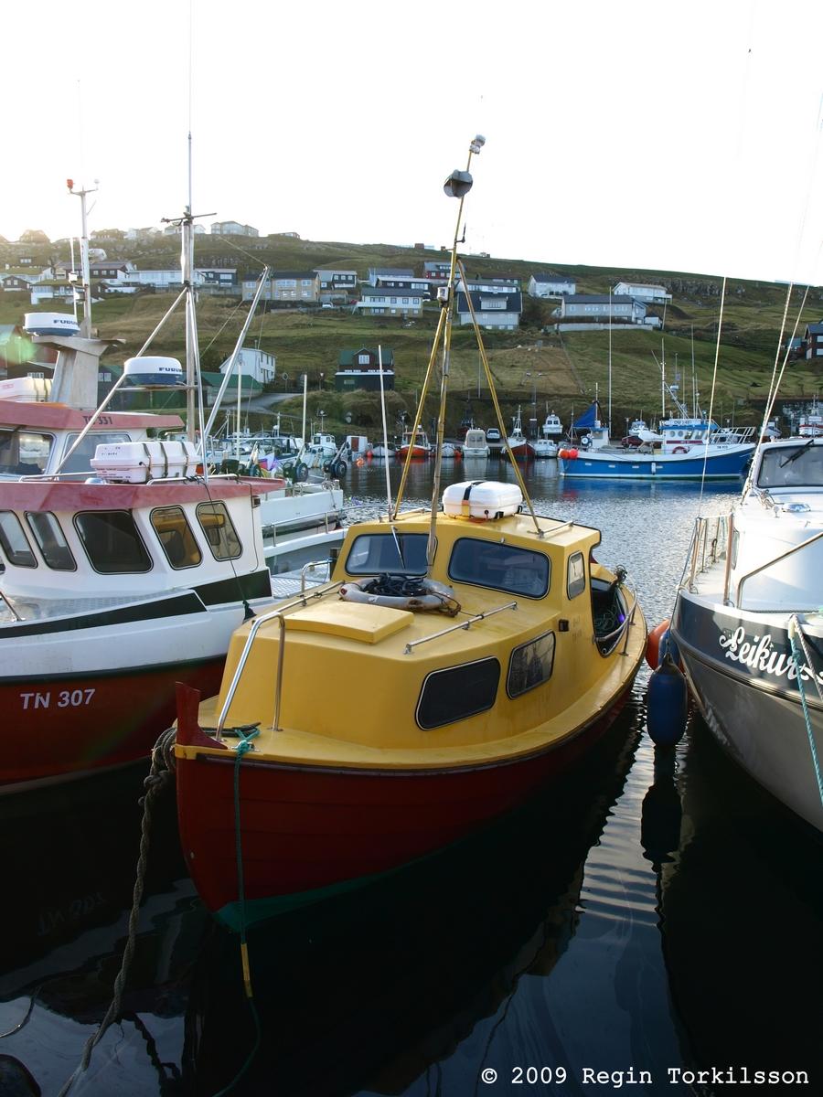 Lmur TN 1395