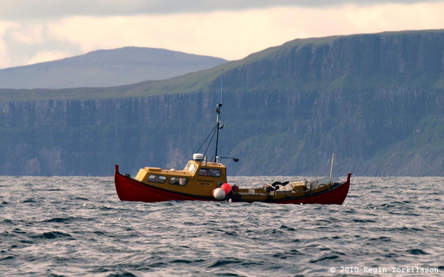 Havrnin FD 79
