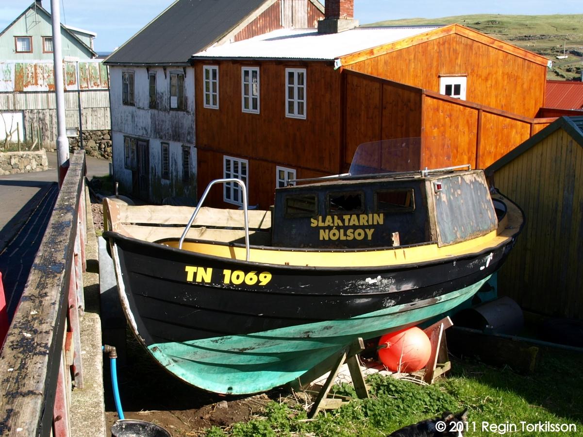 Slaktarin TN 1069