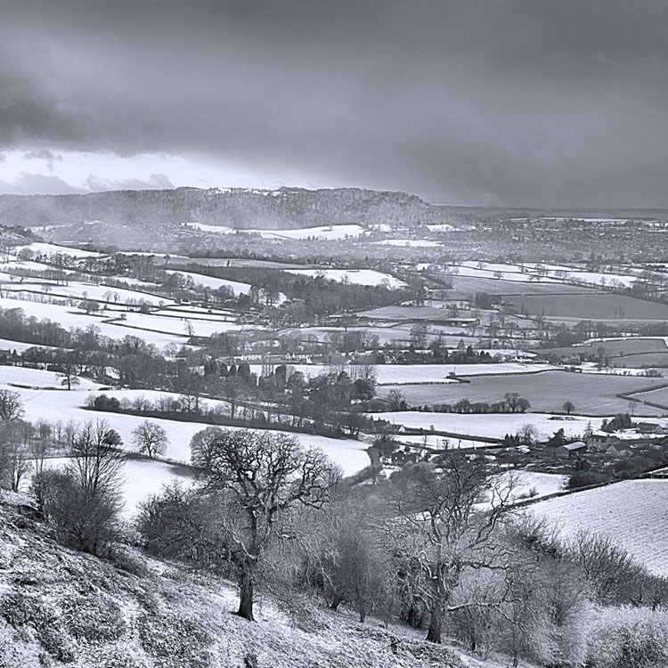 Snowscape