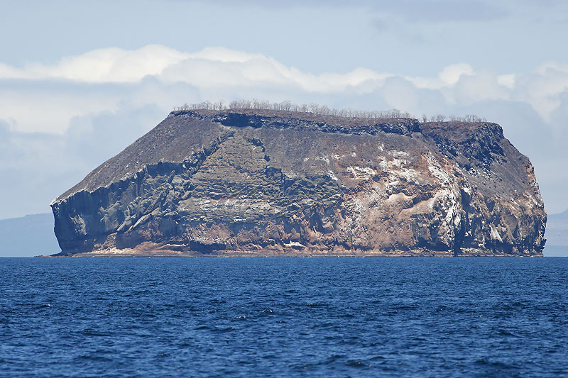 Landscape (North Seymour)