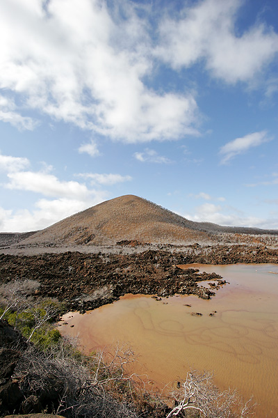 Flamingos Lagoon (Punta Cormorant, Floreana)