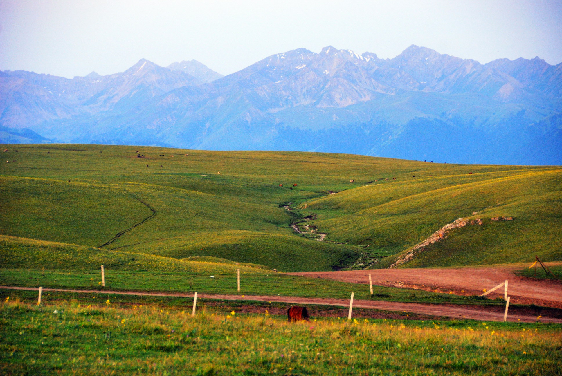 DSC_0072_resize.jpg