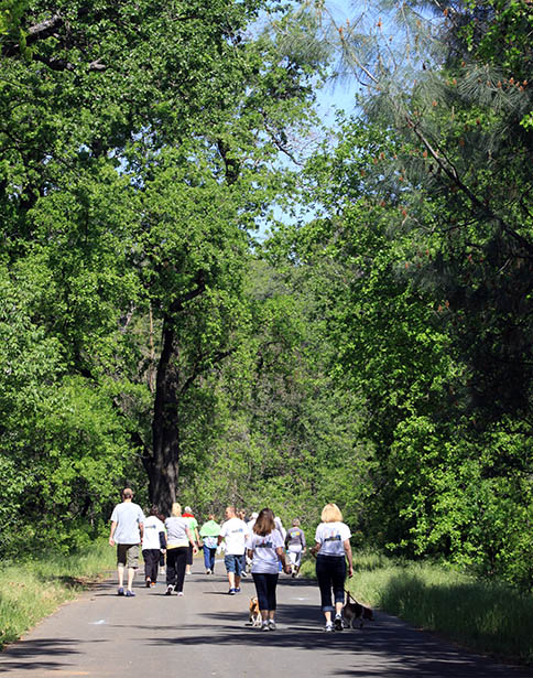Nice day for a walk in Bidwell Park