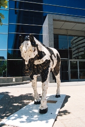 AAA009.JPG